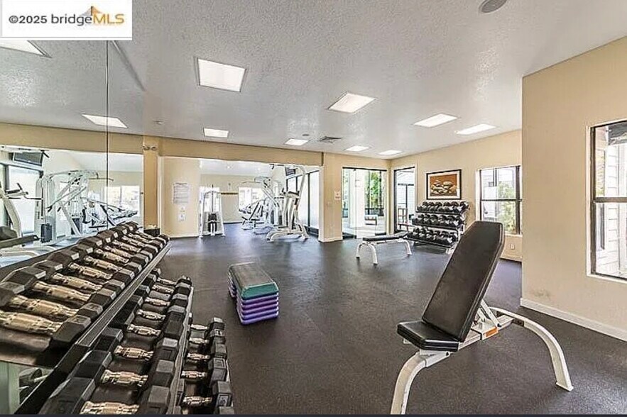 Building Photo - 15 Shoreline Ct