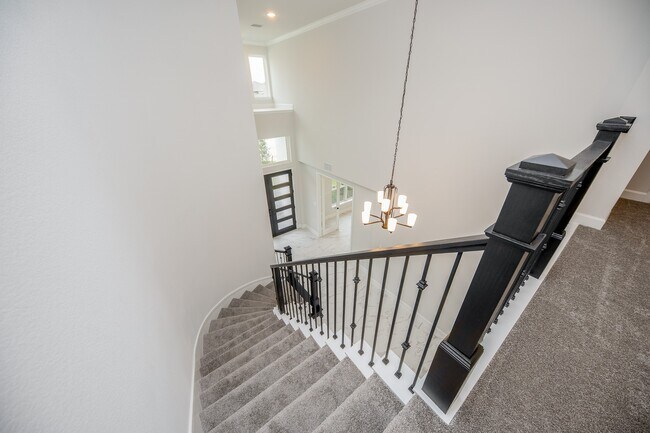Building Photo - 21515 Blue Porterweed Trl