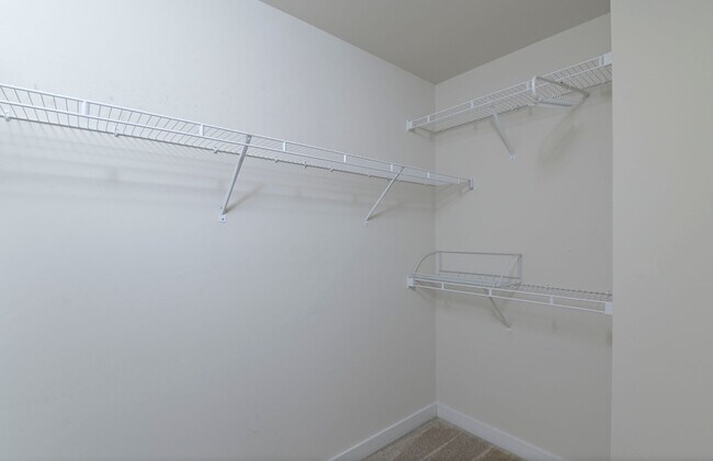 Building Photo - 217 Golden Fluke Dr