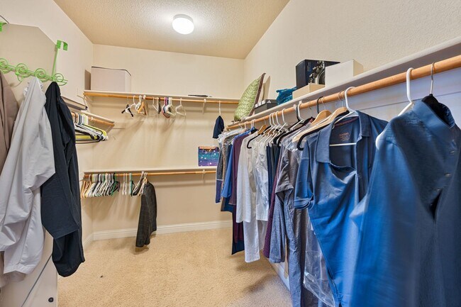 Building Photo - 9952 Spring View Way