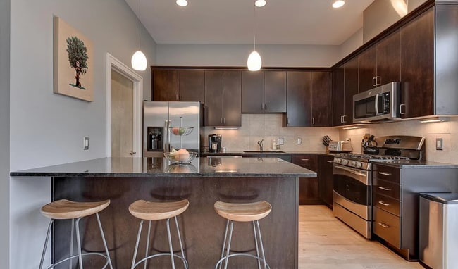 Building Photo - Luxury Downtown Condo!!