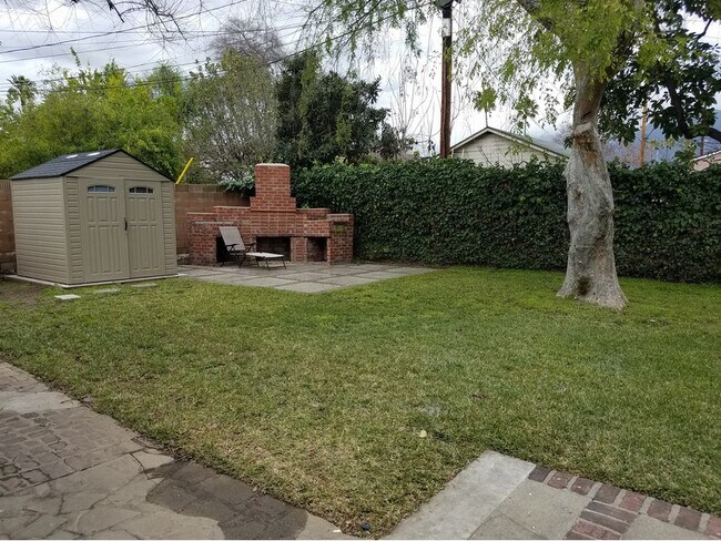 Back Yard - 3851 Oakdale St