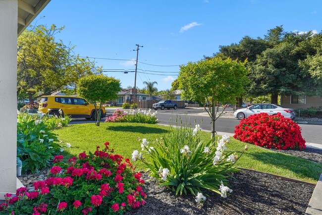 Building Photo - Beautiful Vacaville Home Near Parks, Schools & Shopping