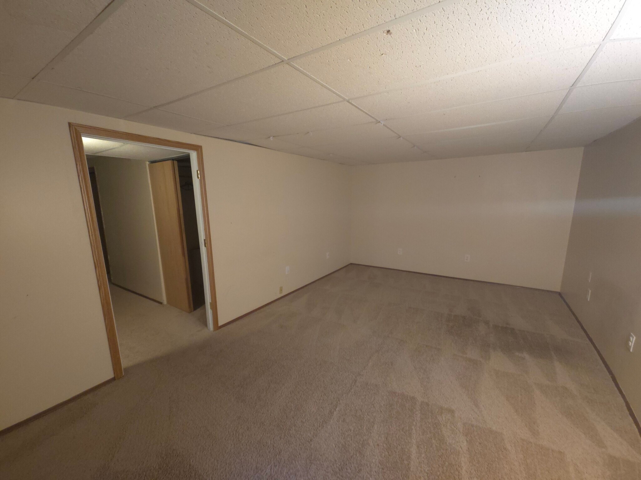 Finished Basement - 7618 Thames Ct