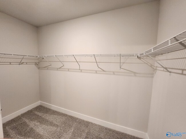 Building Photo - 137 Rugby Dr