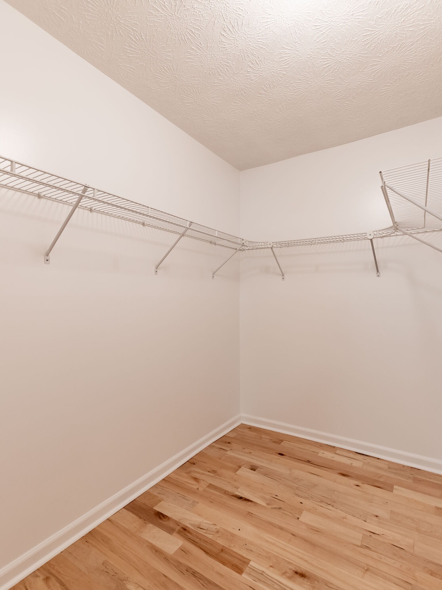 Building Photo - 4133 Thornwall Dr