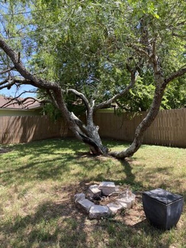 Building Photo - Craddock-222