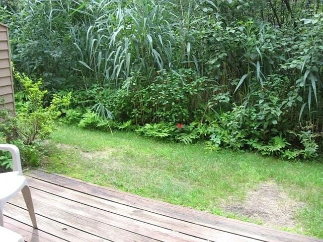 Building Photo - 62 Hayes Ave