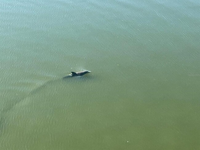 Building Photo - 8800 Bay Pines Blvd