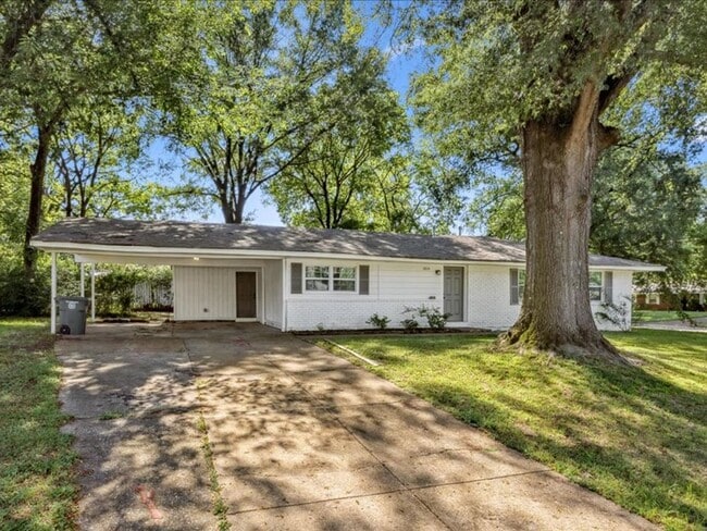 Building Photo - 3804 Charles Dr