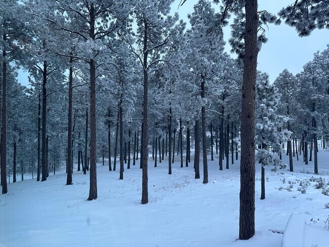 Building Photo - 6980 Wildridge Rd