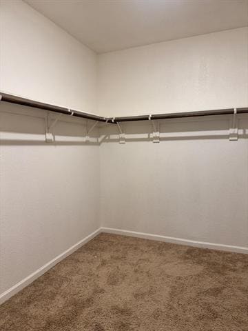 Building Photo - 2417 Silver Leaf Ln