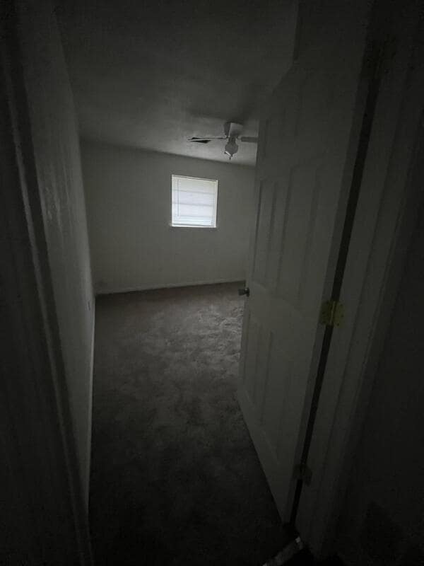 Primary Photo - 220 Hickory St