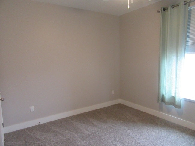 Building Photo - 1117 Blazing Star St