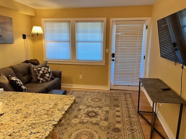 Building Photo - Fully Furnished Downtown Condo