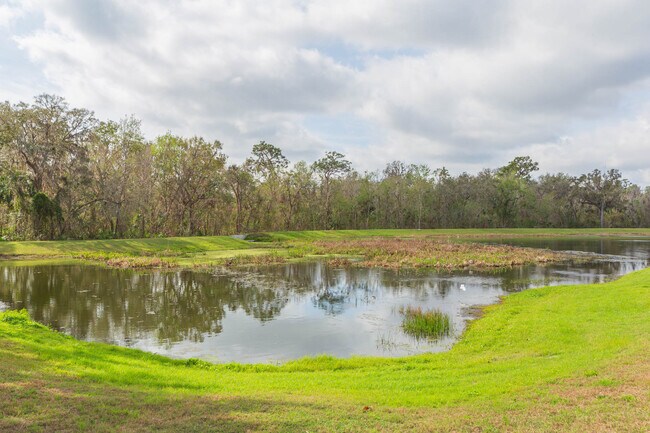 Pond view - 5808 Fishhawk Ridge Dr