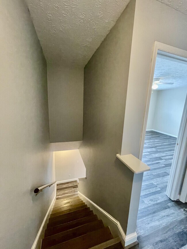 Building Photo - 1069 Blue Ridge View Cir