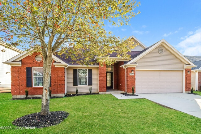 Building Photo - 7115 Blue Stream Ct