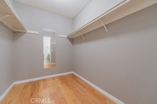 Building Photo - 1135 Tierra Luna
