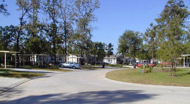 Primary Photo - Grand Oaks Homes