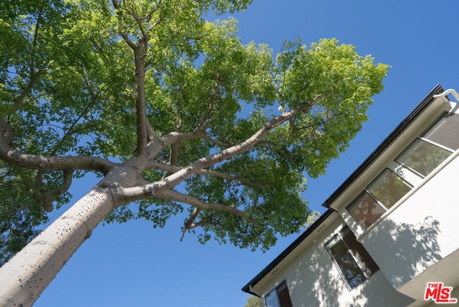 Building Photo - 2401 Meadow Valley Terrace