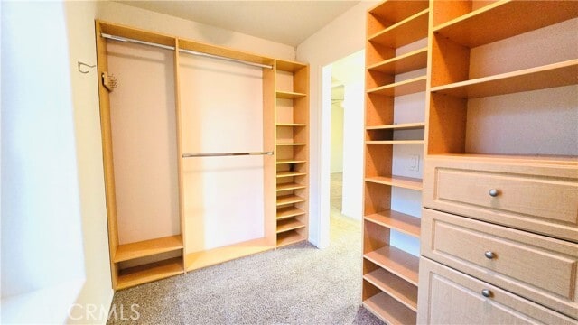 Building Photo - 1256 Coach House Ct