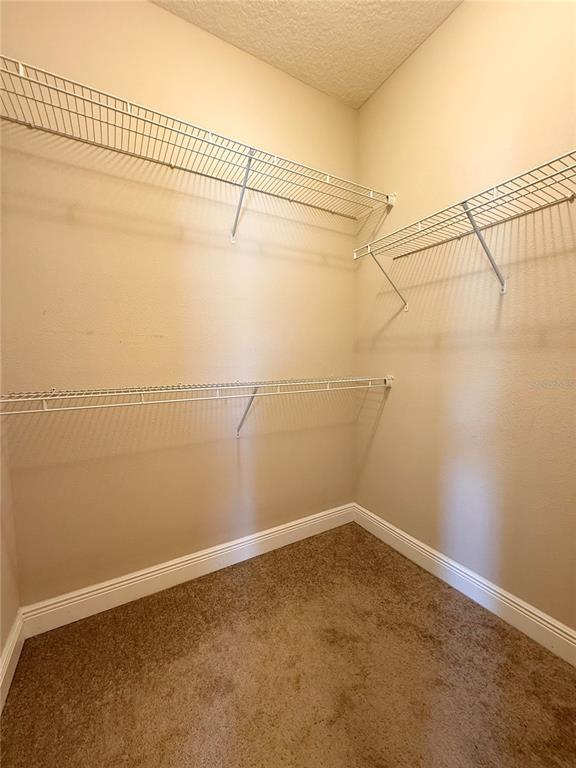 Building Photo - 1497 Softshell St