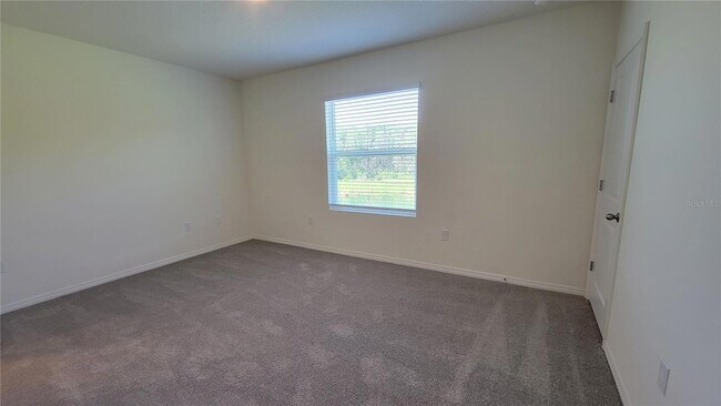 Building Photo - 32173 Turtle Grace Lp