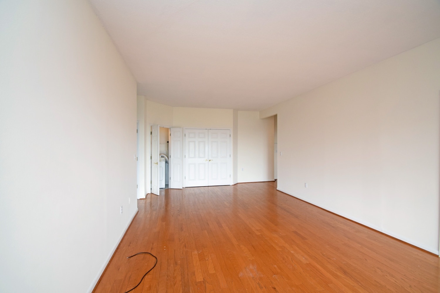 Living Room - 2444 Madison Rd