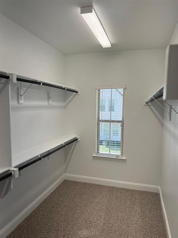 Building Photo - 4720 Corriente Vista Ln