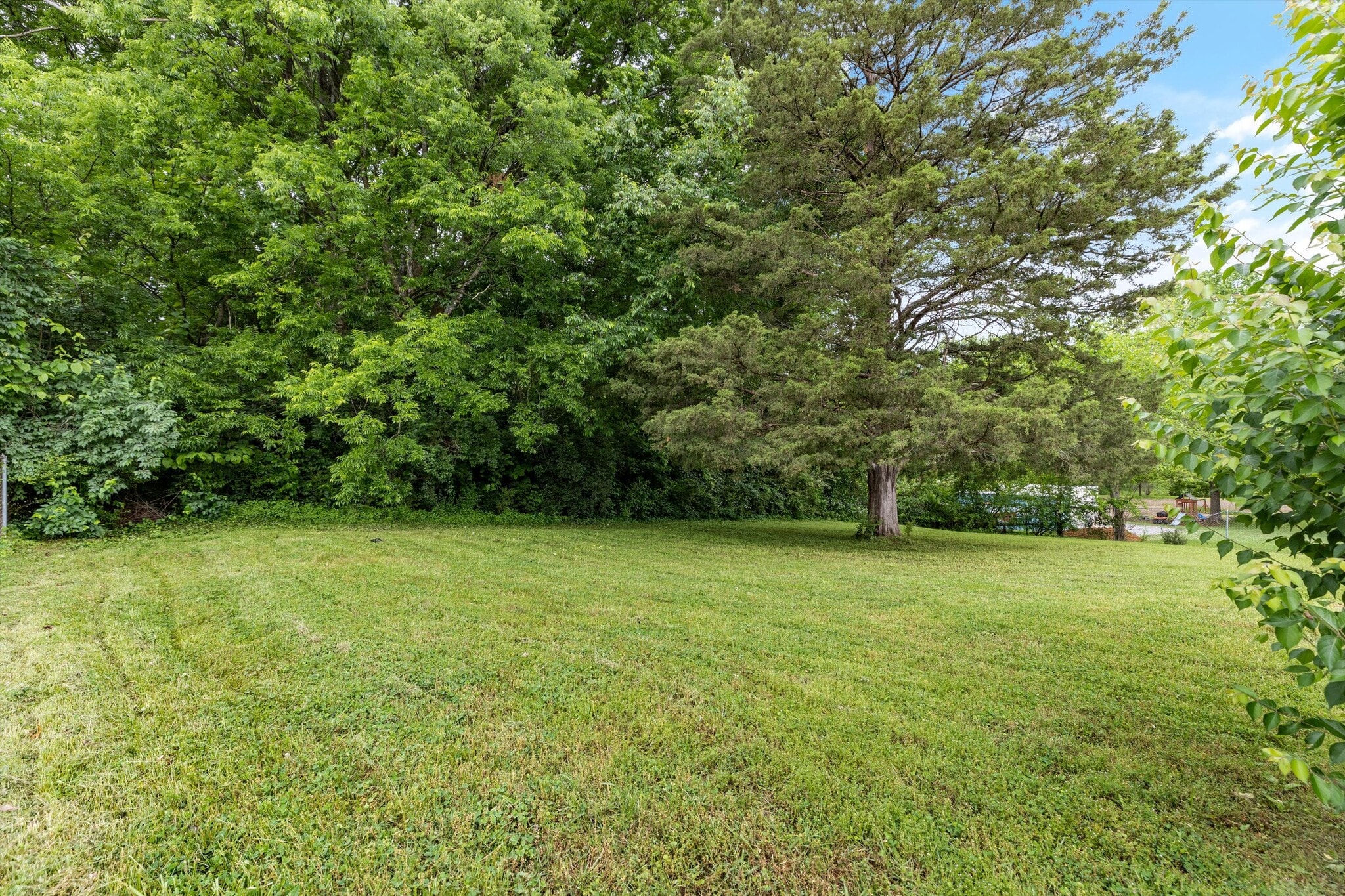 Backyard - 1225 Ferd Hickey Rd