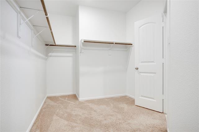 Building Photo - 825 Walls Blvd