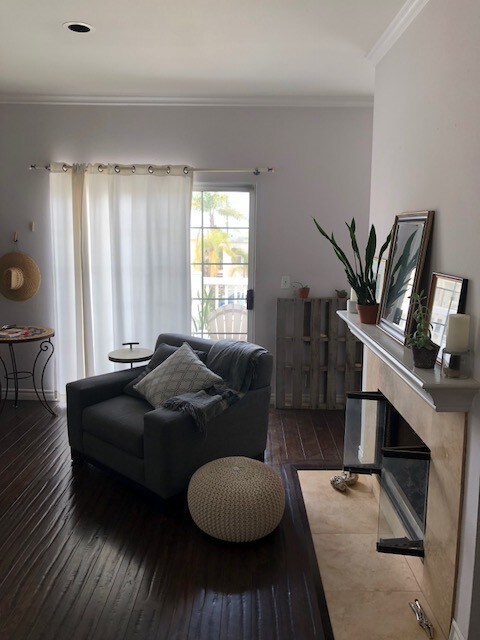 living room - 446 Monterey Blvd