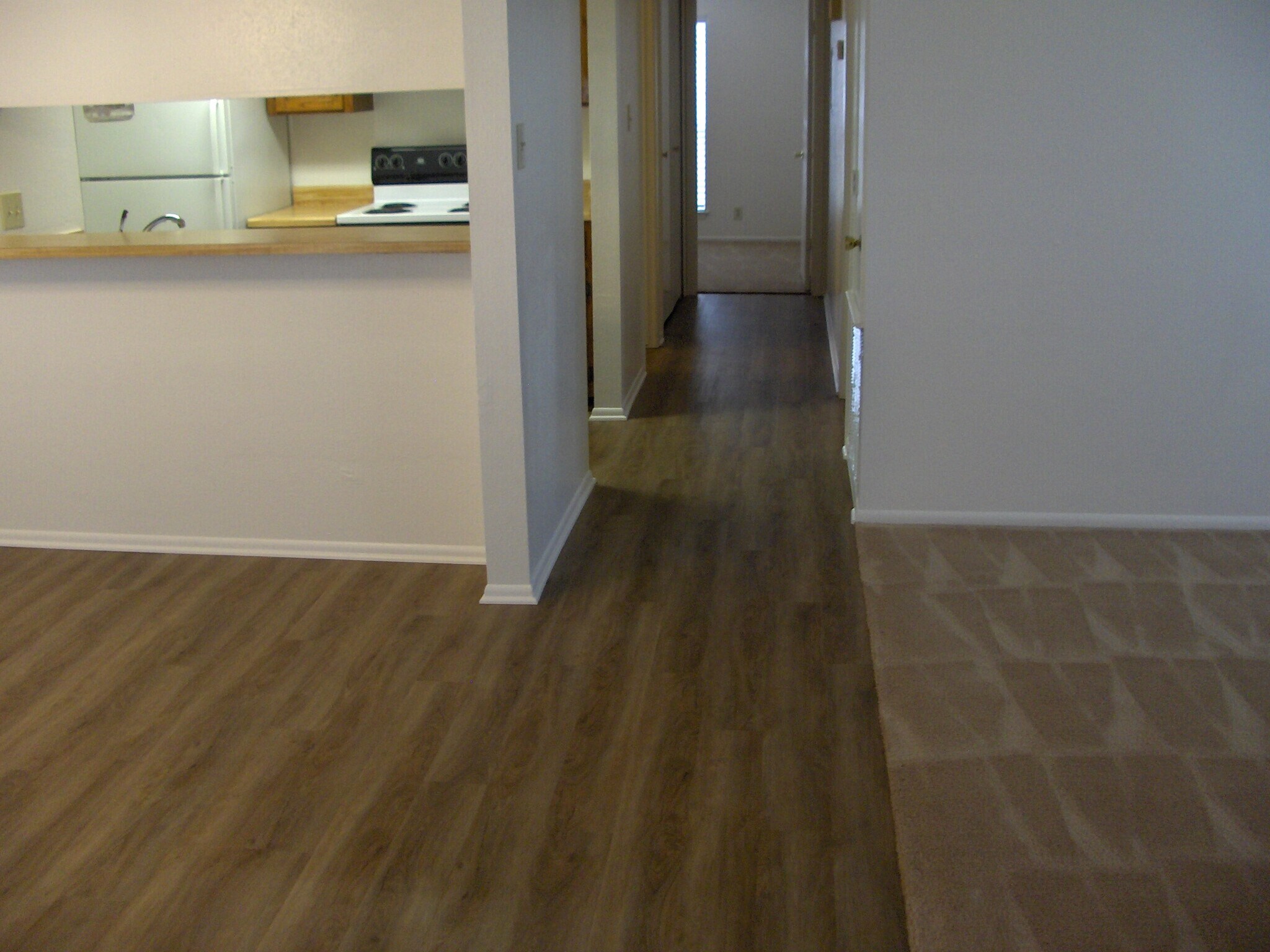 Hall - 4257 Family Tree