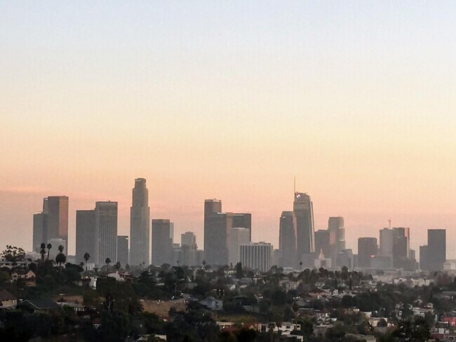 View from Living Room - 2027 Vestal Ave