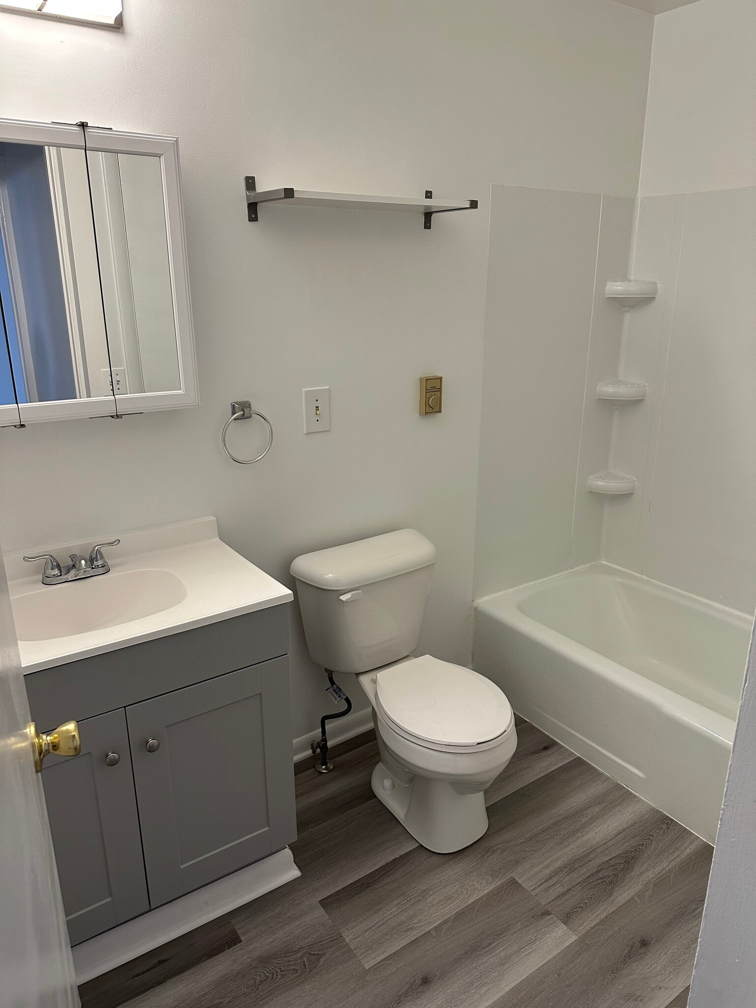 bathroom - 318 East Patrick Street
