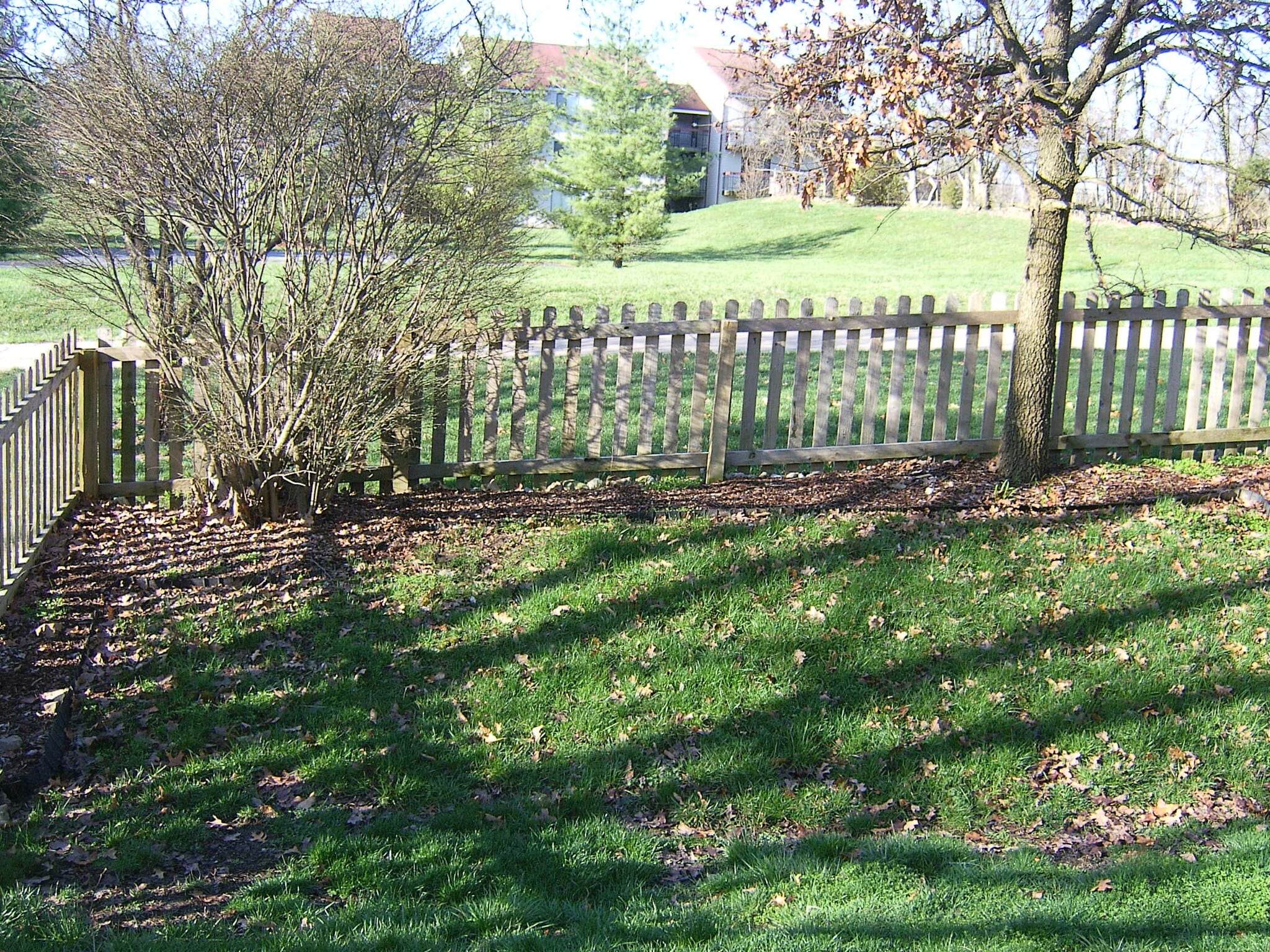 fenced back yard - 361 Fox Village Ct