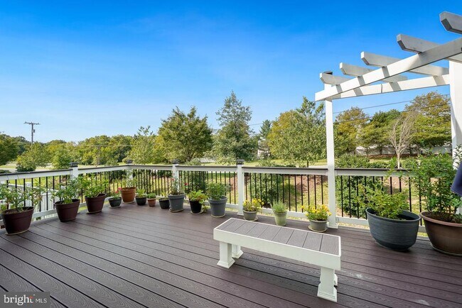 Building Photo - 21521 Willow Breeze Sq
