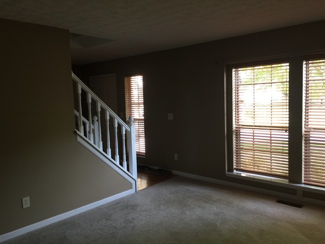 living room - 1343 Sprucewood Ct