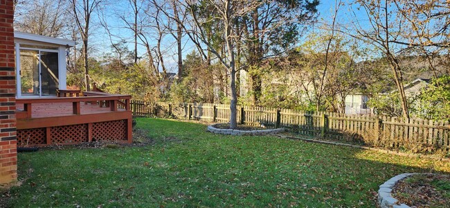 Backyard view - 4108 Saratoga Woods Dr