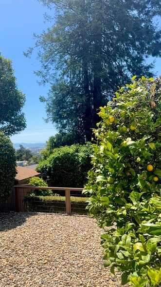 The house also includes a mature Meyer lemon tree and lovely Bay views. - 2403 Mira Vista Dr