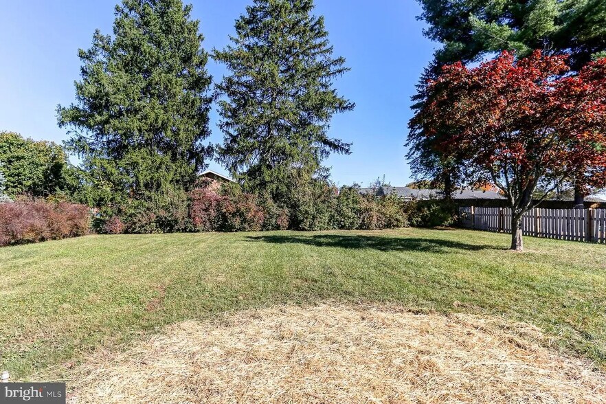 Back Yard - 2360 Sycamore Rd