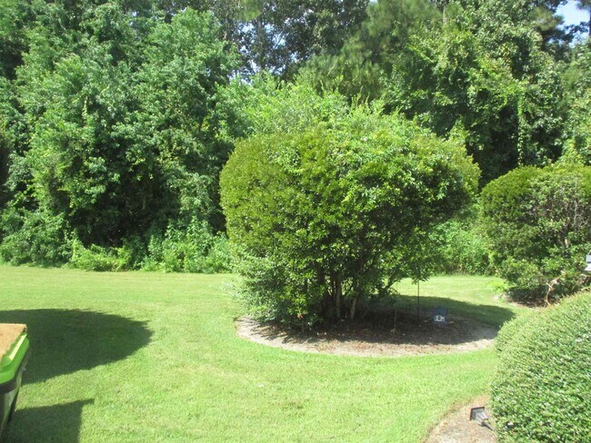 Building Photo - 157 Olde Towne Way