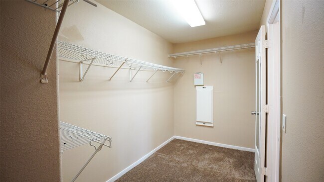 Building Photo - 16526 Bristle Creek Dr