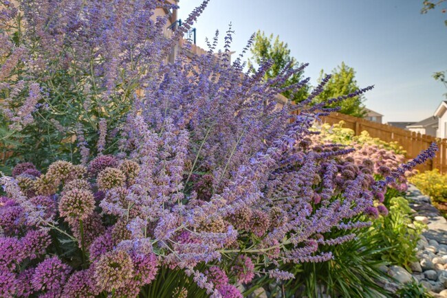 Building Photo - Beautiful "like new" home available for re...