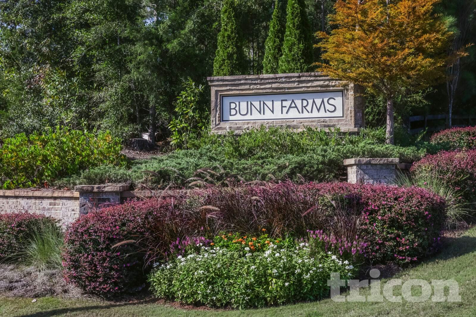 Building Photo - 244 Oliver Dr