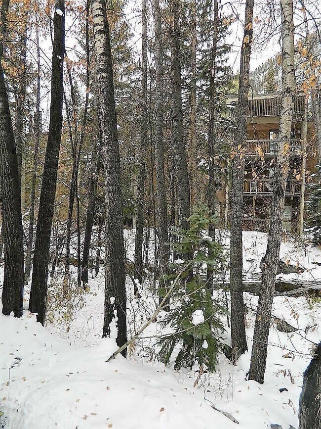 Building Photo - Creekside Condominiums #20C