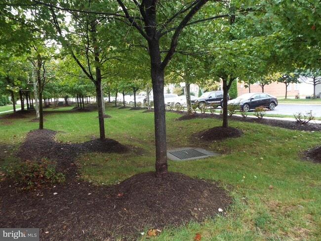 Primary Photo - 22950 Rose Quartz Square