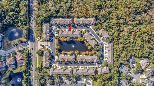 Building Photo - 540 Pinebranch Cir