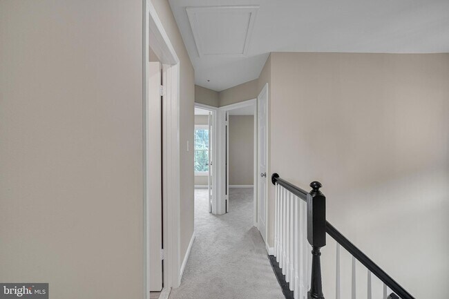 Building Photo - 8101 Chelaberry Ct